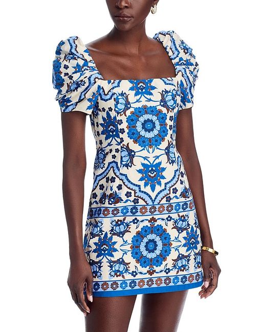 Cara Cara Blue Kelly Dress