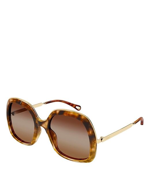Chloé Brown Square Sunglasses, 56Mm
