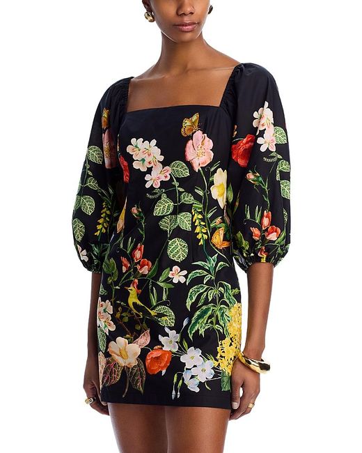 Cara Cara Multicolor Montauk Dress