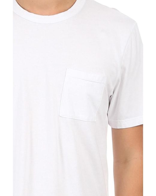 cotton citizen tshirts