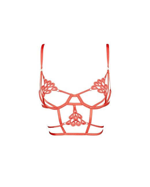 Bluebella White Aria Bra Cayenne