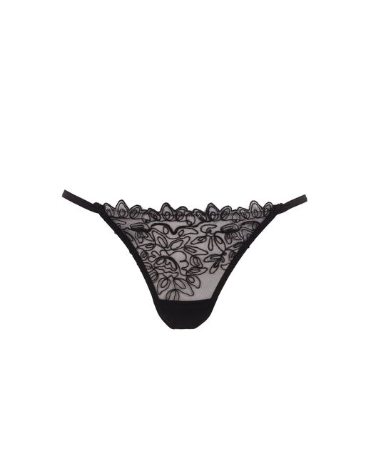 Bluebella Gray Audrey Brief Black