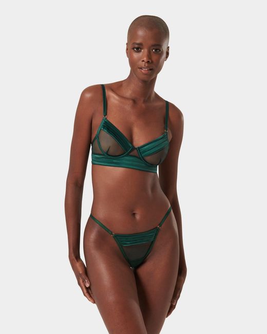 Bluebella Green Stephanie Brief Botanical Garden