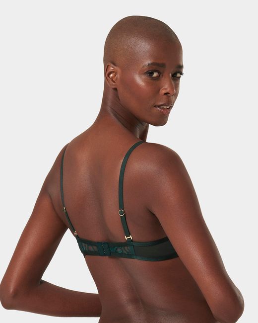 Bluebella Laurel Wired Bra Botanical Garden Green