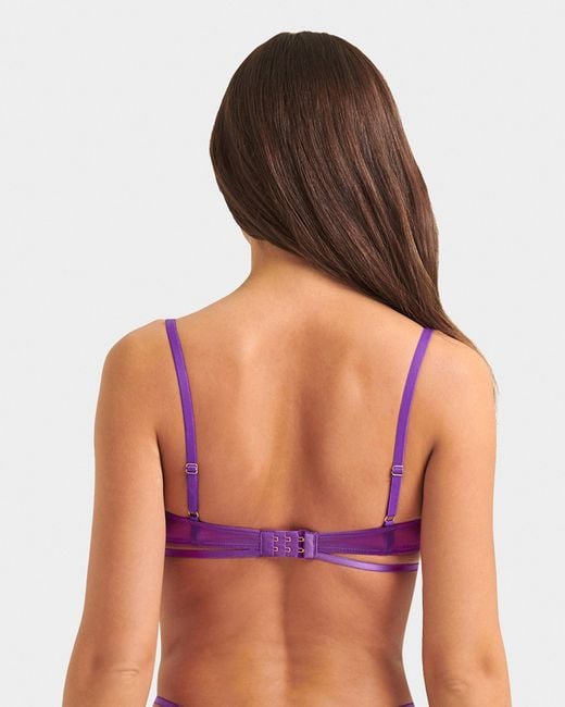 Bluebella Purple Isla Bra Electric