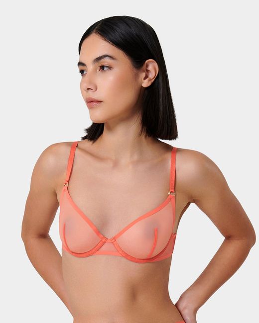 Bluebella Pink Naomi Wired Bra Hot Coral