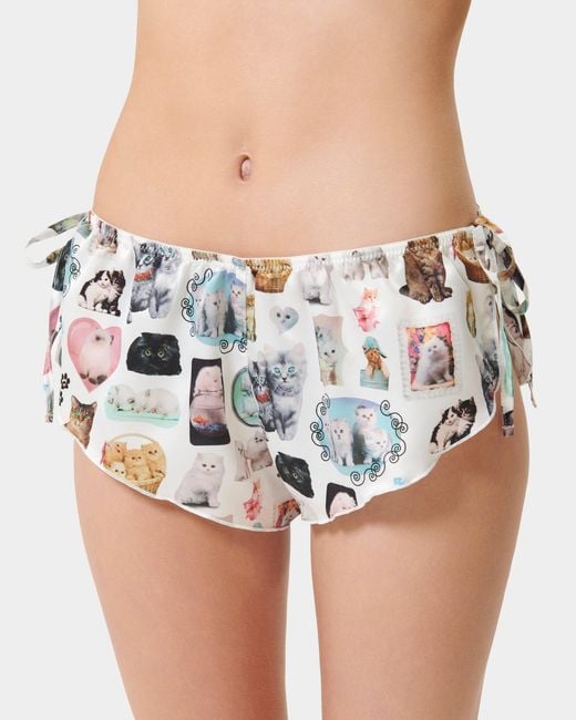 Bluebella White Bb X Ashley Williams Kitten Print Luxury Satin Crop Cami And Short Set