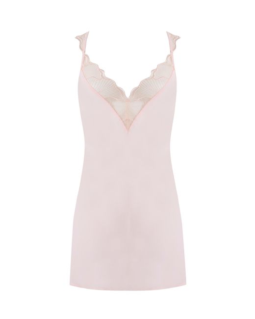 Bluebella Pink Marabel Sheer Chemise Pearl