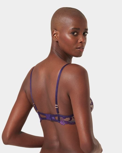 Bluebella Purple Leonora Wired Bra Acai/Sheer