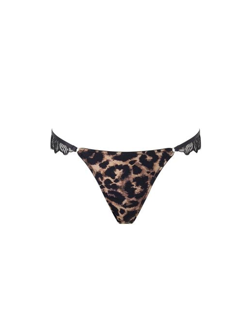 Bluebella White Nina Thong Leopard