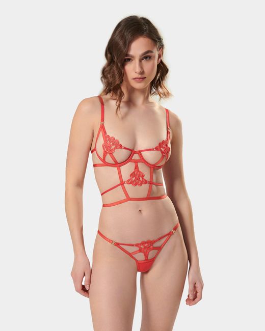 Bluebella White Aria Bra Cayenne
