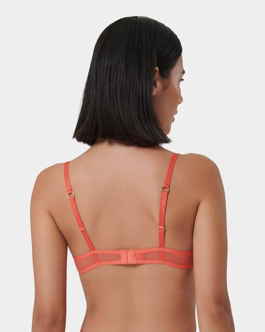 Bluebella Pink Naomi Wired Bra Hot Coral