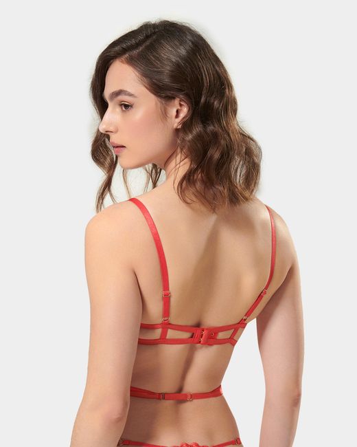 Bluebella White Aria Bra Cayenne