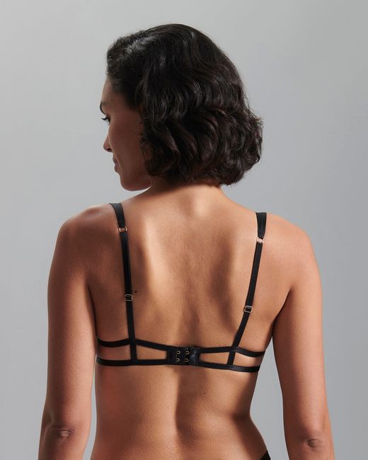 Bluebella Black Annabel Open Bow Bra