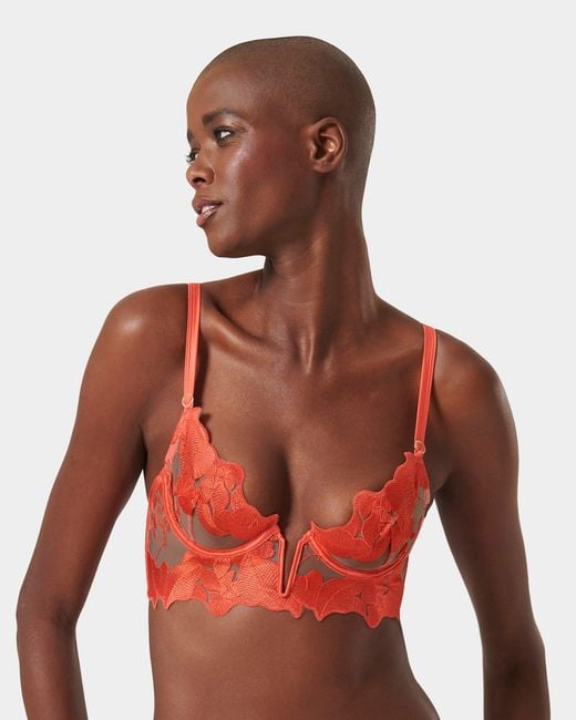 Bluebella Red Serenity Longline Bra Coral