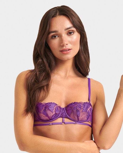 Bluebella Purple Isla Bra Electric