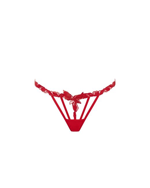 Bluebella String Seren Bluebella en coloris Red