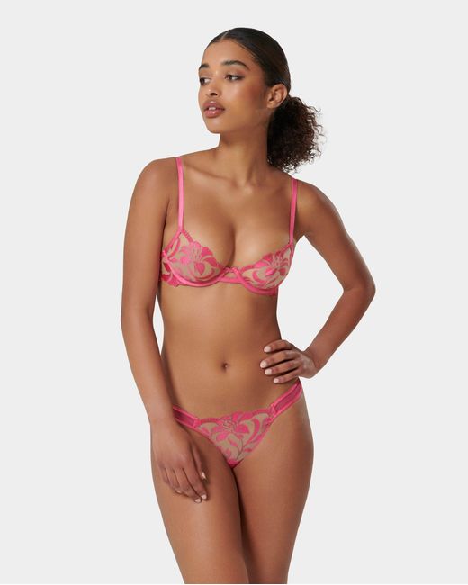 Bluebella Leonora Brief Fuchsia Pink/sheer