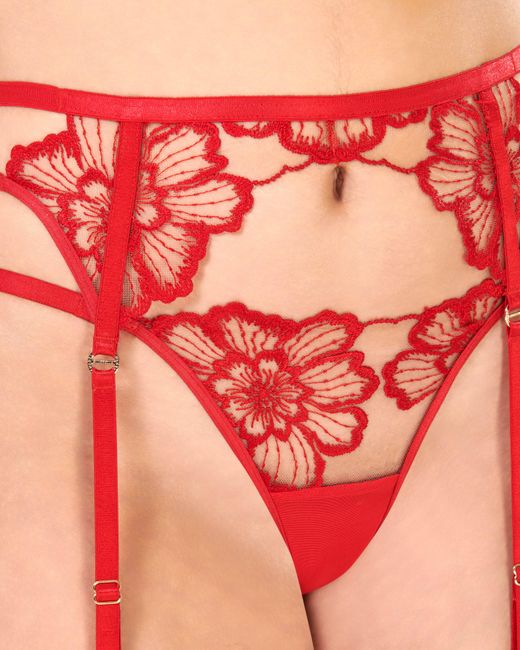 Bluebella Catalina Suspender Red/sheer