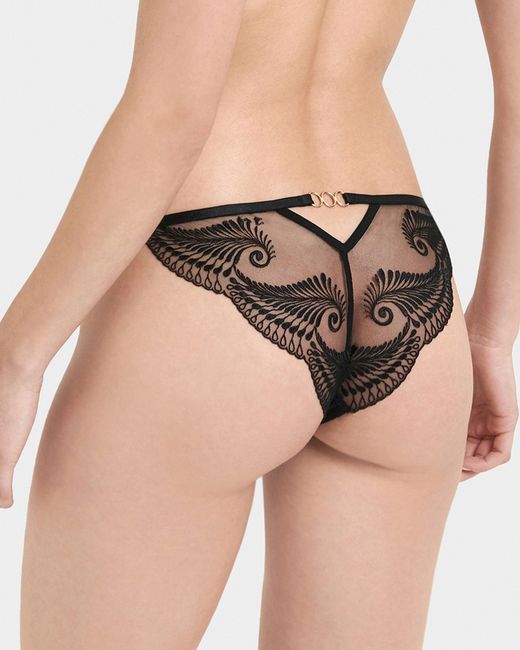 Bluebella Black Rafaela Brief