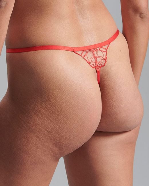 Bluebella Red Rosalie Sheer Thong