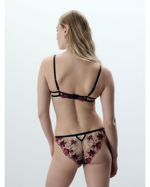 Bluebella Red Calista Sheer Floral Bra/Cherry