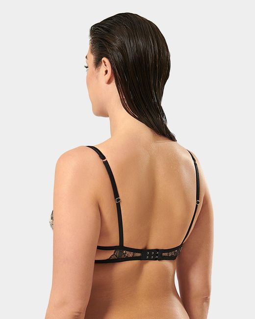 Bluebella Black Alula Embroidered Sheer Bra
