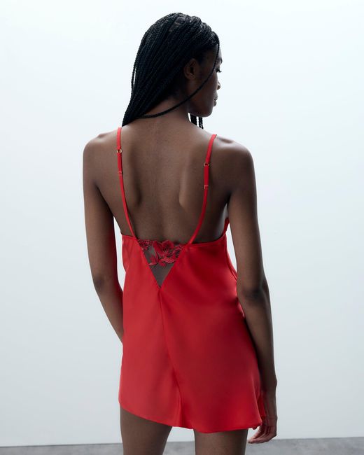 Bluebella Lavanya Satin Embroidered Chemise