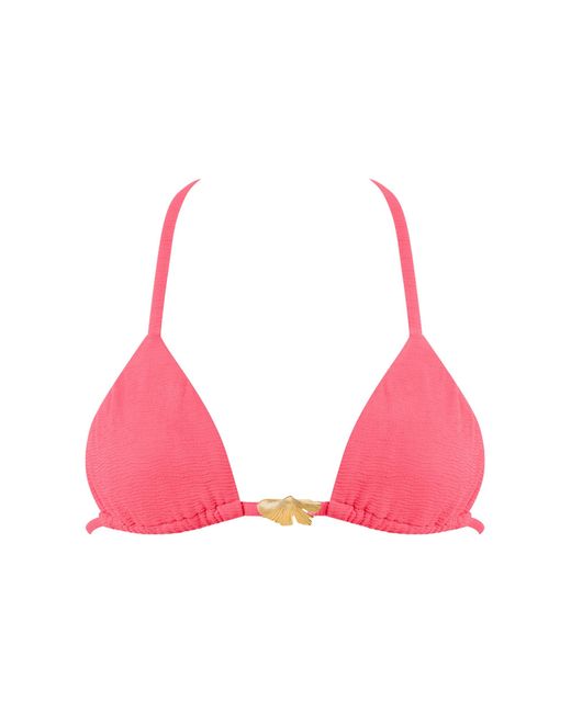 Bluebella Pink Cadiz Triangle Bikini Top Lemonade