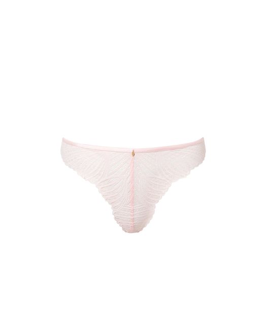Bluebella Pink Peyton Lace Thong