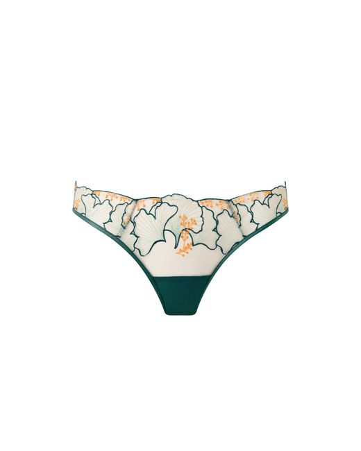 Bluebella Multicolor Gianna Sheer Brief
