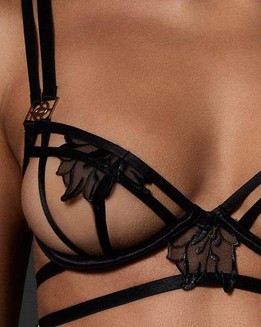 Bluebella Blue Carla Bra