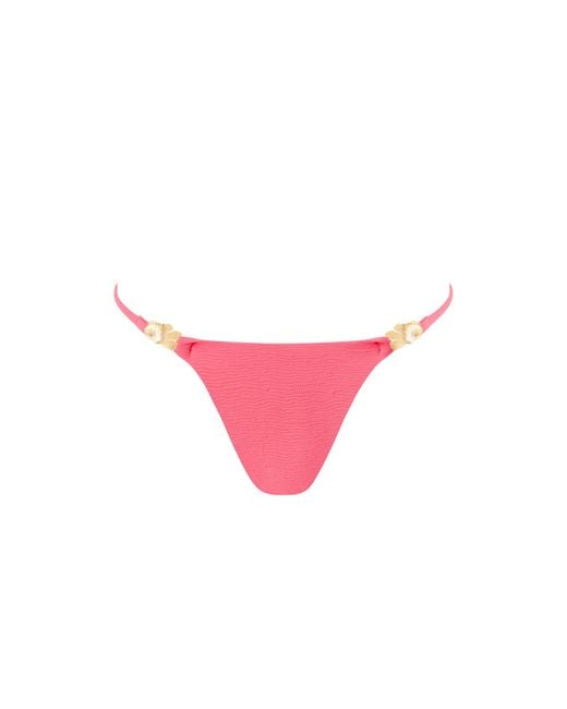 Bluebella Pink Cadiz Bikini Brief Lemonade