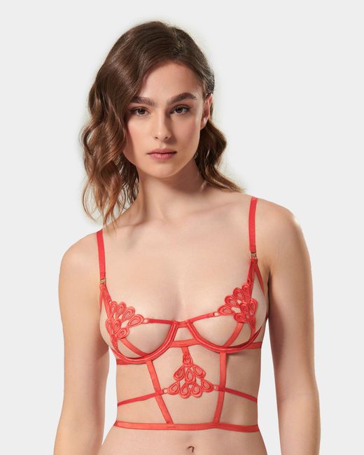 Bluebella White Aria Bra Cayenne