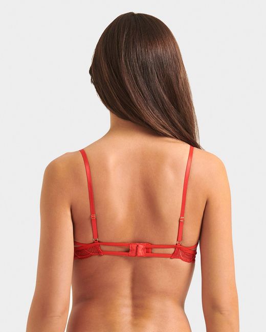Bluebella Red Anaya Bra Flame Scarlet