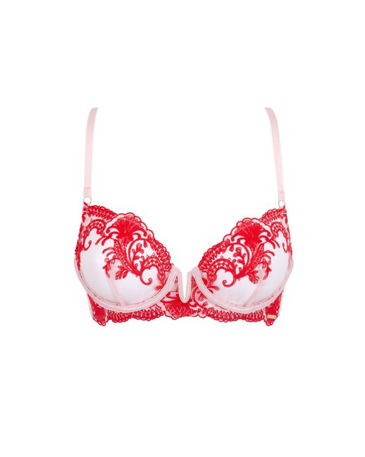 Bluebella Pink Marseille Embroidered Sheer Bra