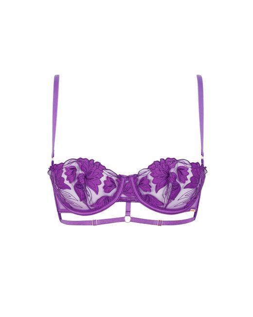 Bluebella Purple Isla Bra Electric