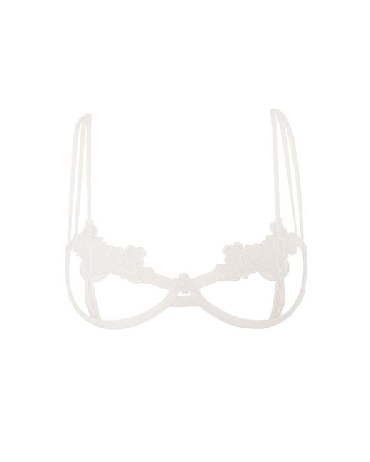 Bluebella White Nova Bra Ivory