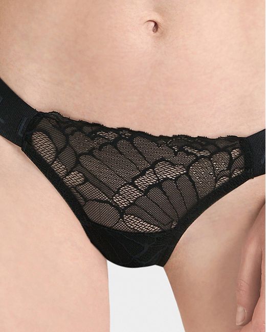 Bluebella Gray Tori Brief