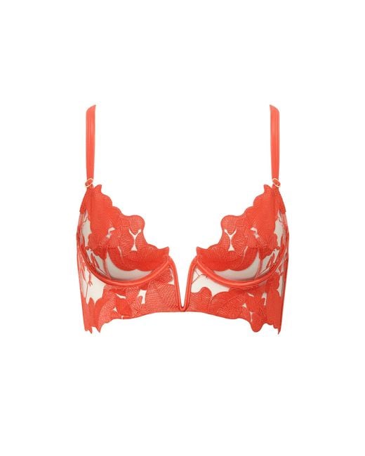 Bluebella Red Serenity Longline Bra Coral