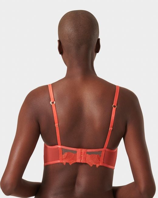 Bluebella Red Serenity Longline Bra Coral