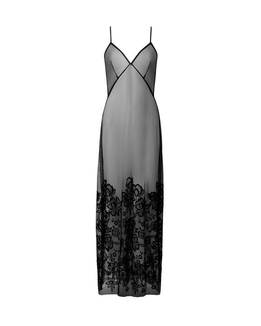 Bluebella Nuisette Longue Transparente Penelope Noir Bluebella en coloris White