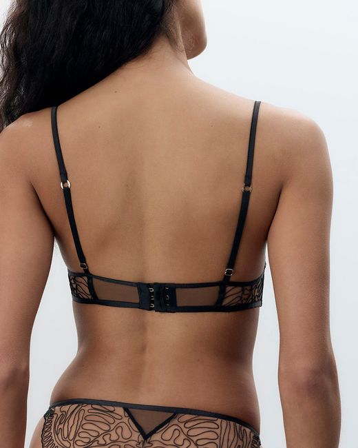 Bluebella Multicolor Leliana High Apex Longline Bra