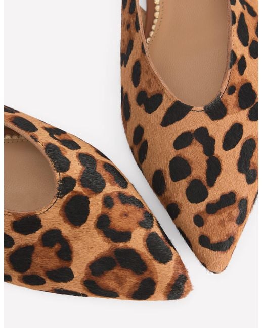 Boden Multicolor High Cut Flat Point