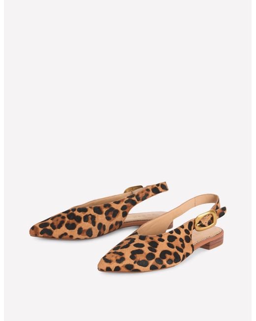 Boden Multicolor High Cut Flat Point