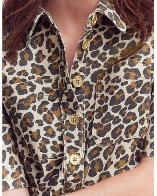 Boden Multicolor Zia Pocket Shift Dress-Almond Milk, Cheetah Pop