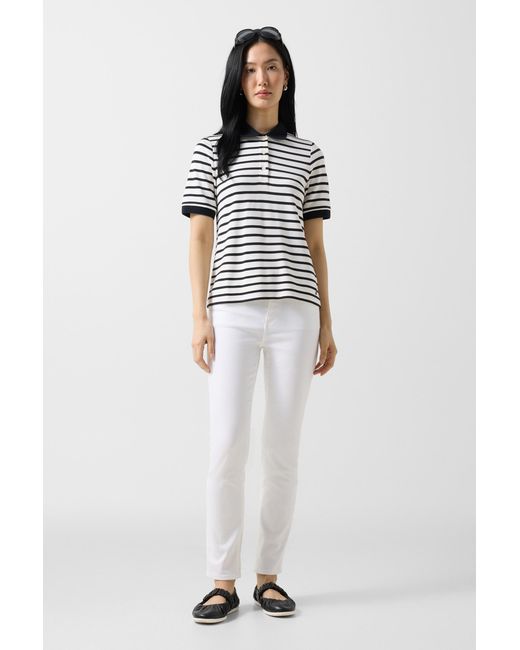 Bogner Multicolor Polo Shirt Rea