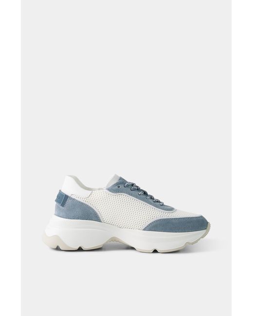Bogner Blue Kobe Sneaker