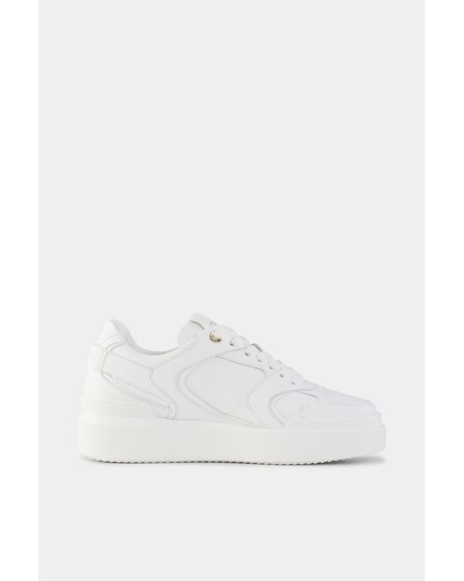 Bogner White Sneaker Hollywood