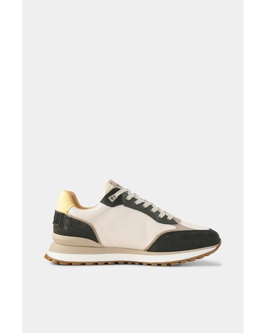 Bogner Multicolor Sneaker Newport for men